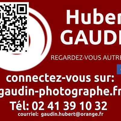 Hubert Gaudin