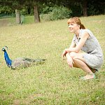 erlika et le paon pas timide