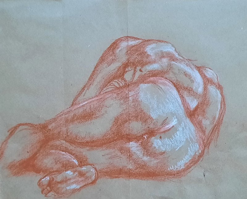 Colibris_20251229_110306