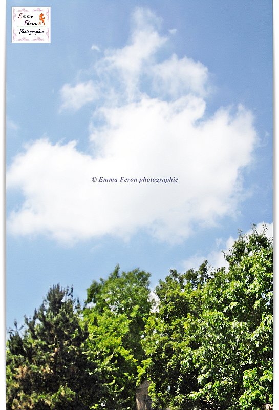 Blue Sky